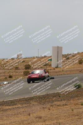 media/May-03-2025-Lucky Dog Racing (Sat) [[206de64b9d]]/Turn 6 (150pm-230pm)/